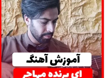تبلچر آهنگ ای پرنده مهاجر سیاوش قمیشی